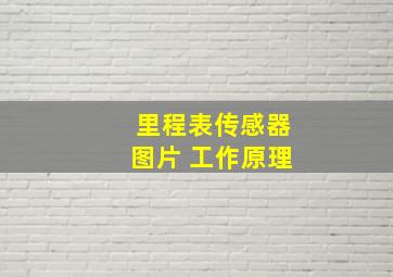 里程表传感器图片 工作原理